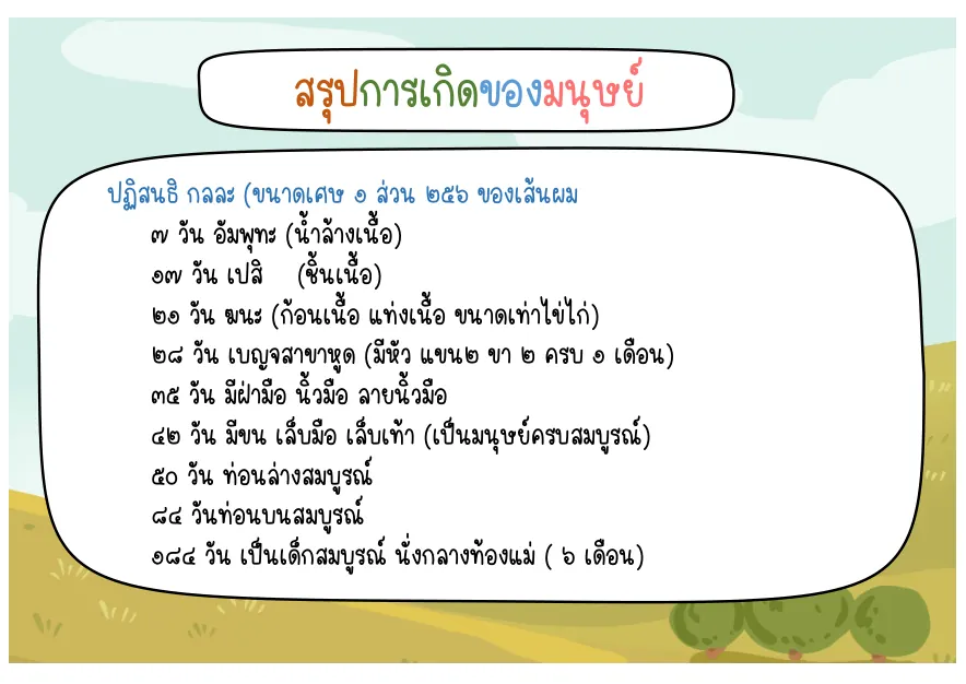 สรุปการเกิดของมนุษย์