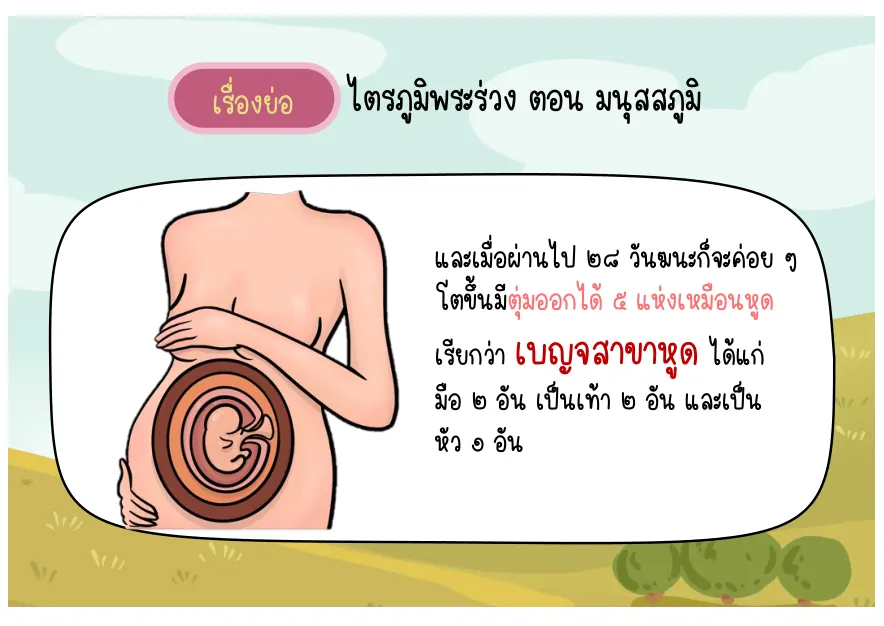 ผ่านไป 28 วัน — เบญจสาขาหูด