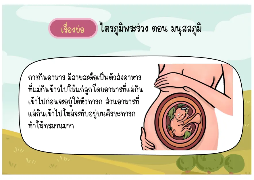 สายสะดือส่งอาหาร